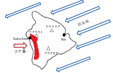 コナの位置